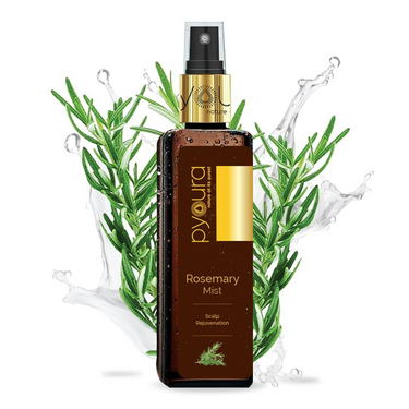 https://cdn.shopify.com/s/files/1/1857/6931/files/2Z4XbZNTBO.png?v=1731316430